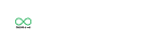 BizView Insightiq